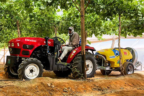 Penyemprotan Pestisida